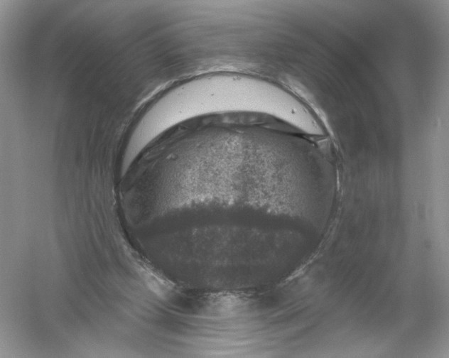 X0000061150249200512022322