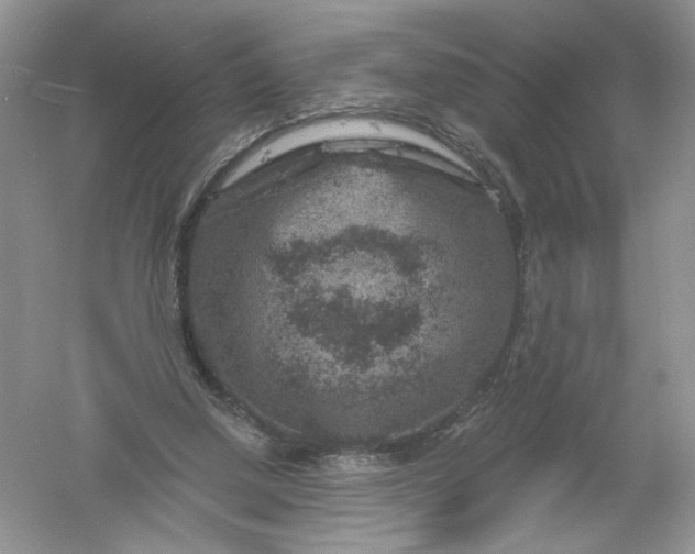 X0000061150250200512022322