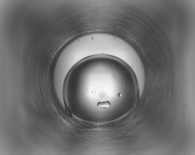 X0000061150251200512022322