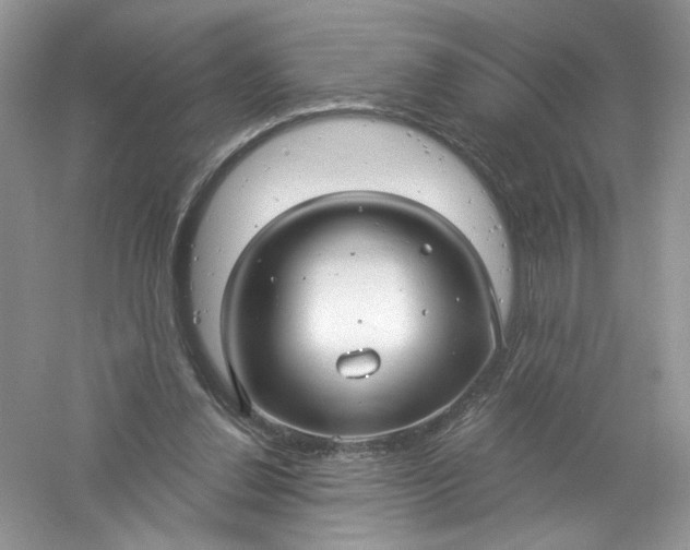 X0000061150252200512022322