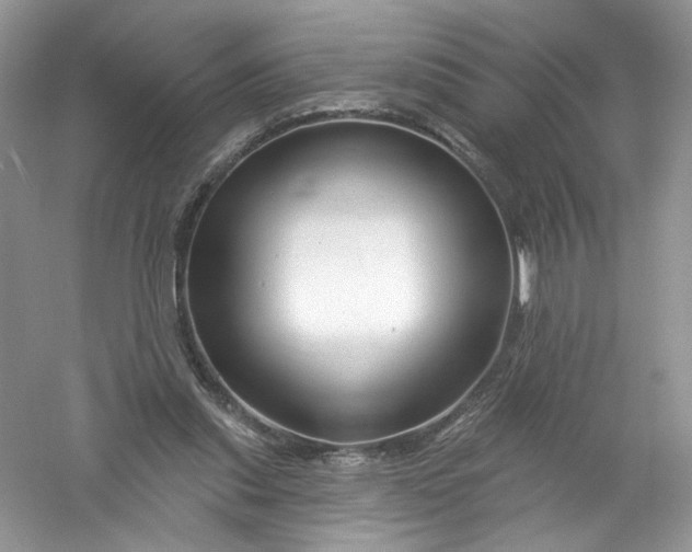 X0000061150253200512022322