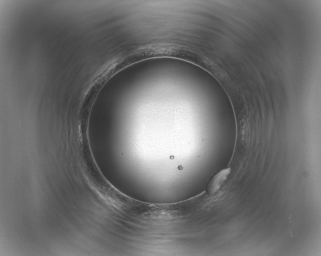 X0000061150254200512022322