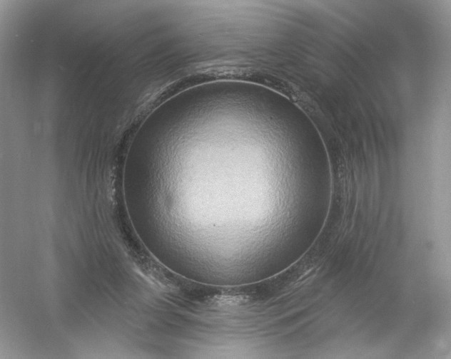 X0000061150255200512022322