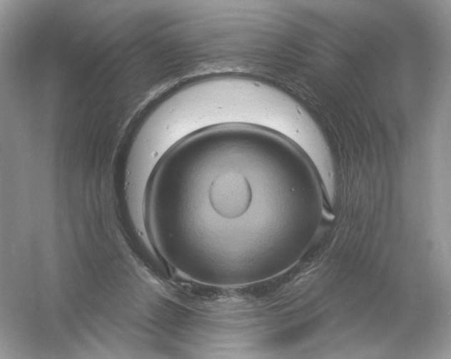 X0000061150256200512022322