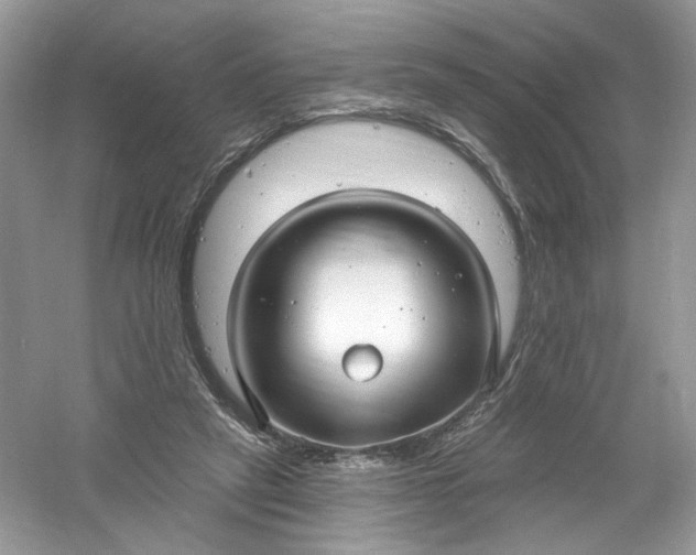 X0000061150257200512022322