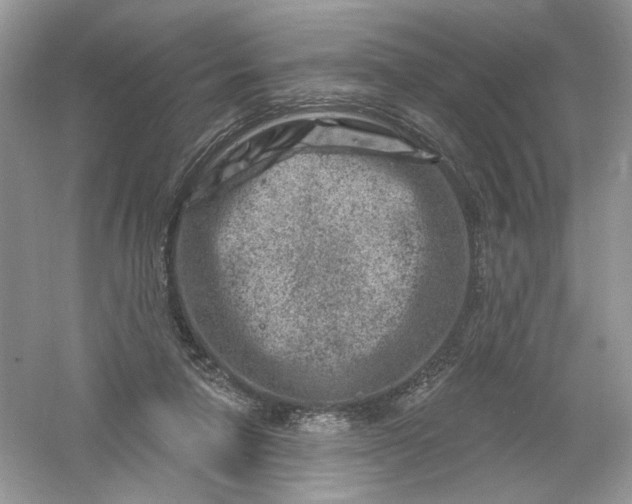 X0000061150258200512022322