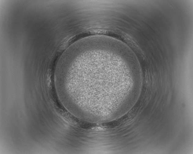 X0000061150259200512022322