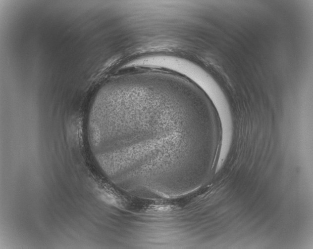 X0000061150260200512022322