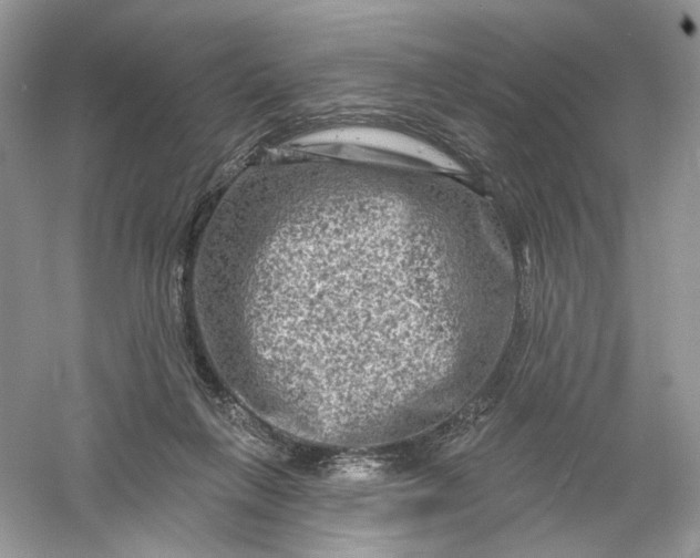 X0000061150263200512022322