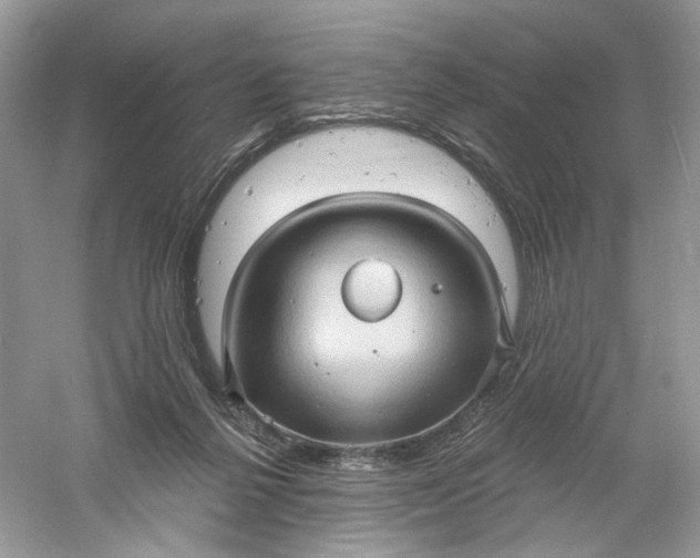 X0000061150264200512022322