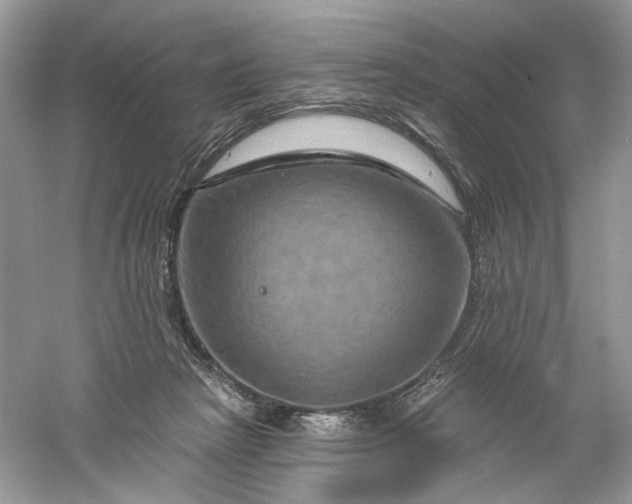 X0000061150265200512022322