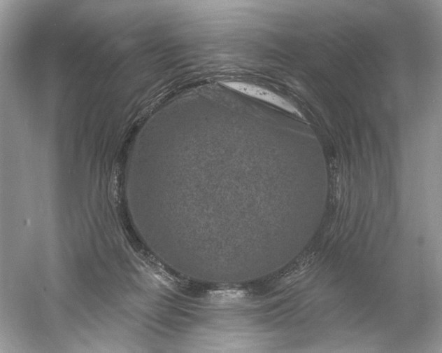 X0000061150266200512022322