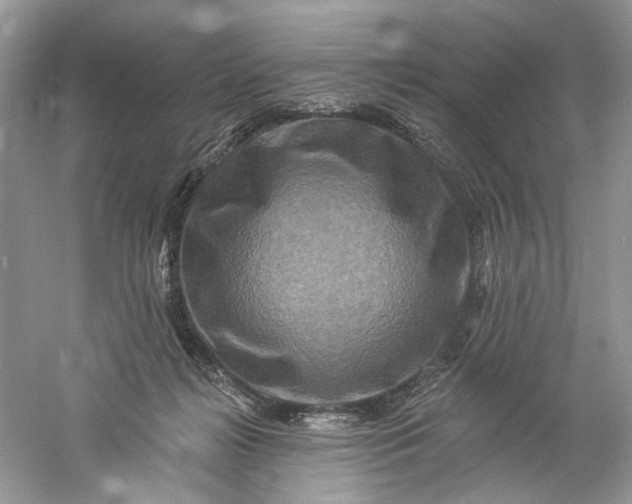 X0000061150268200512022322