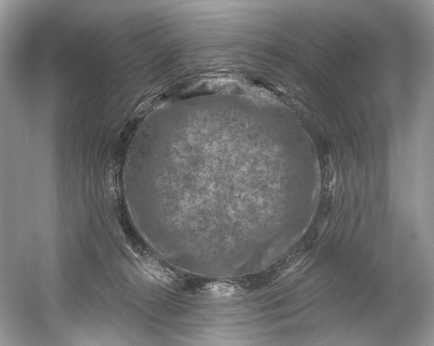 X0000061150272200512022322