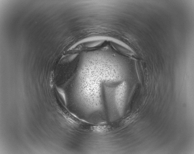 X0000061150273200512022322