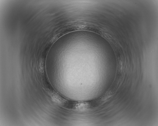 X0000061150274200512022322