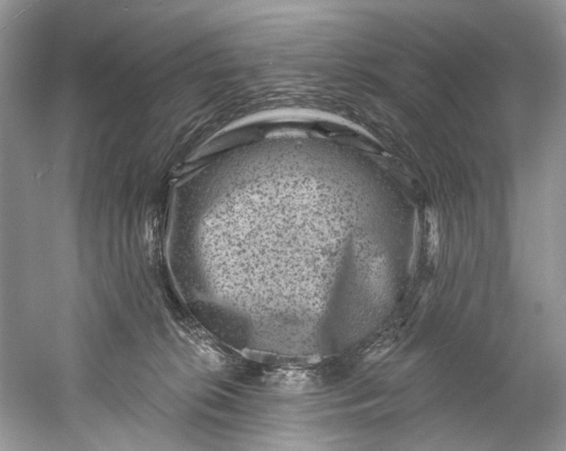 X0000061150276200512022322