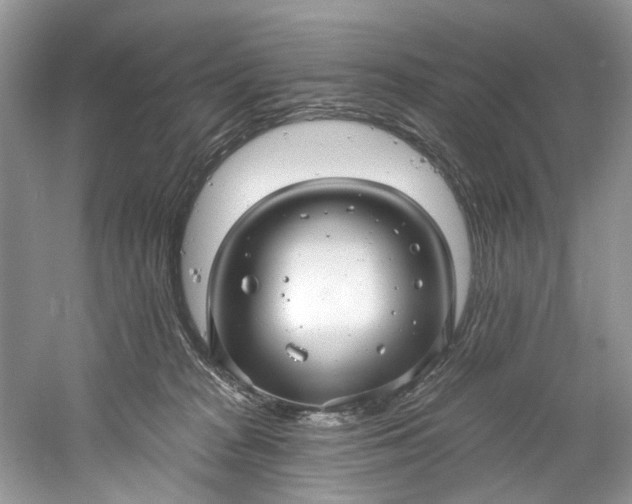 X0000061150277200512022322