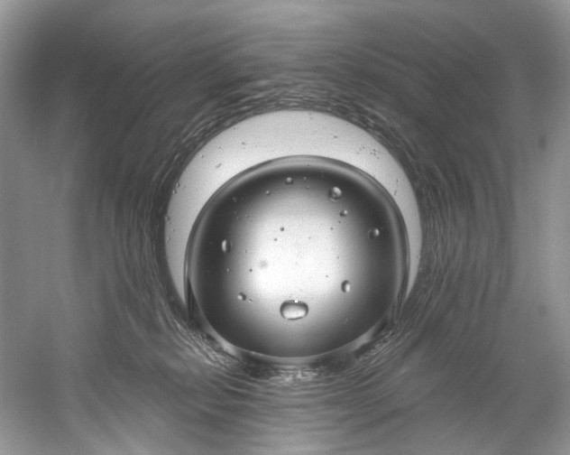 X0000061150278200512022322