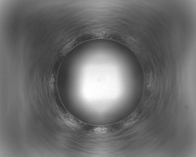 X0000061150279200512022322