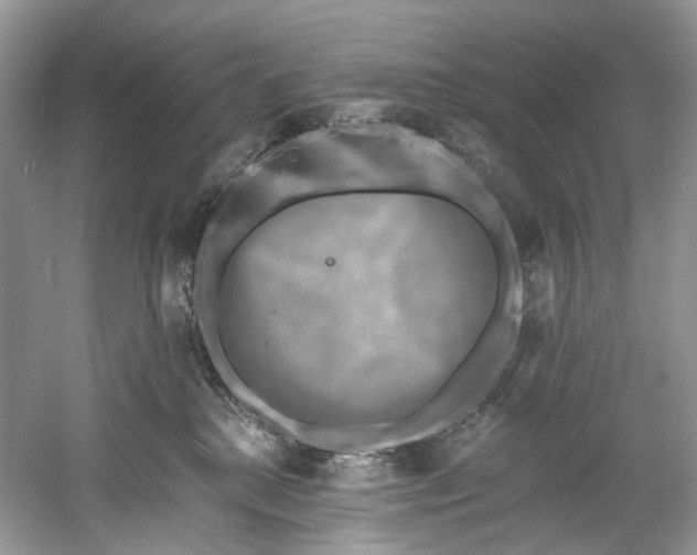 X0000061150280200512022322