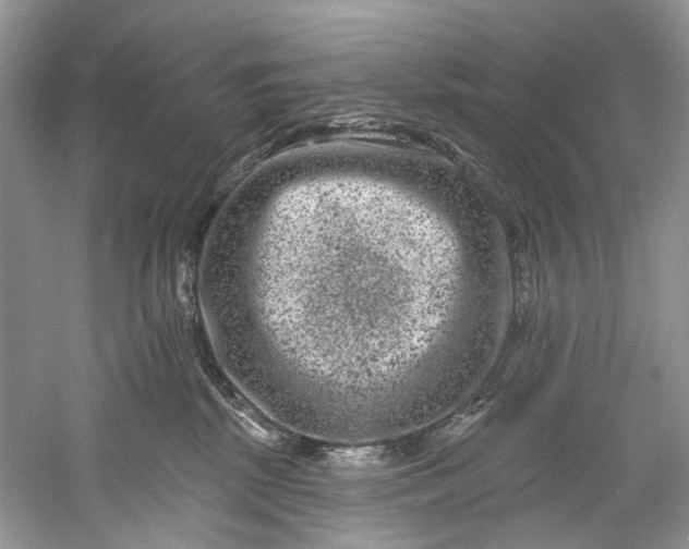 X0000061150281200512022322