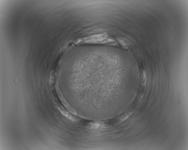 X0000061150284200512022322