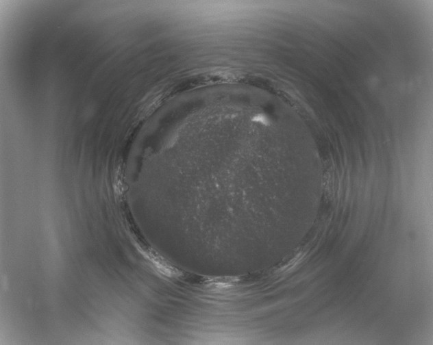 X0000061150285200512022323