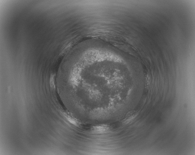 X0000061150286200512022323