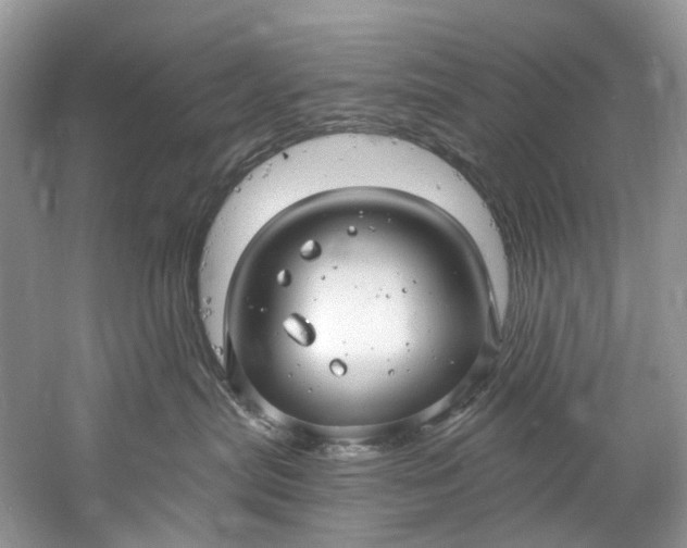 X0000061150287200512022323