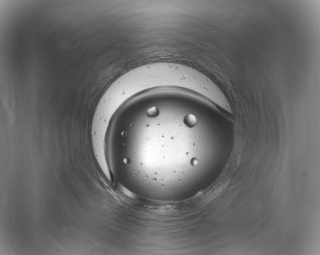 X0000061150288200512022323