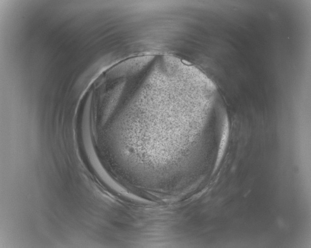 X0000061150290200512022322