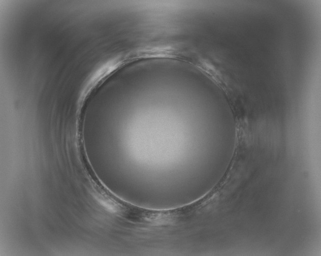 X0000061150293200512022322