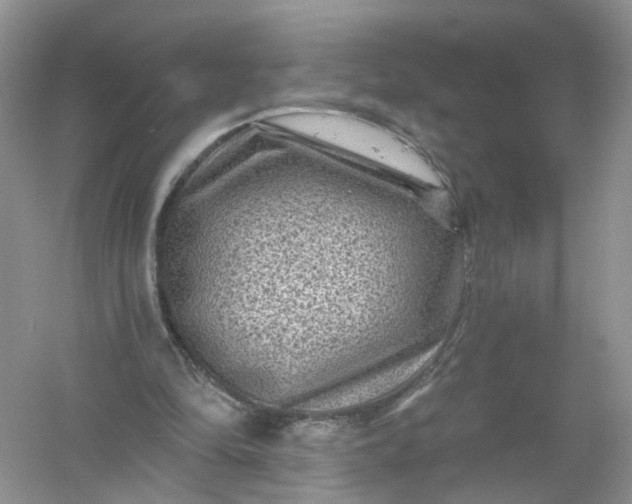 X0000061150294200512022322