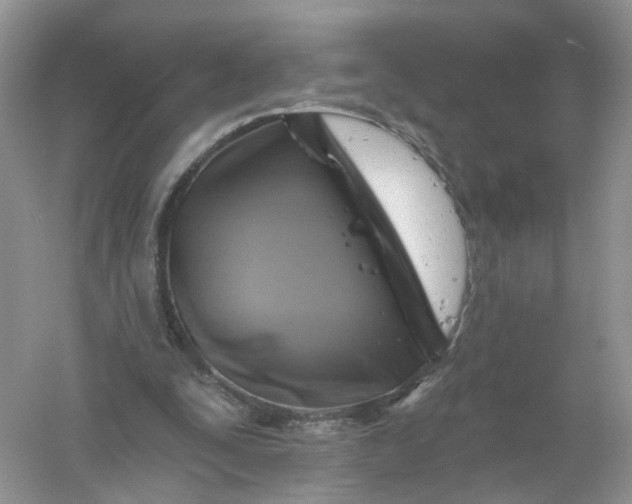 X0000061150295200512022322