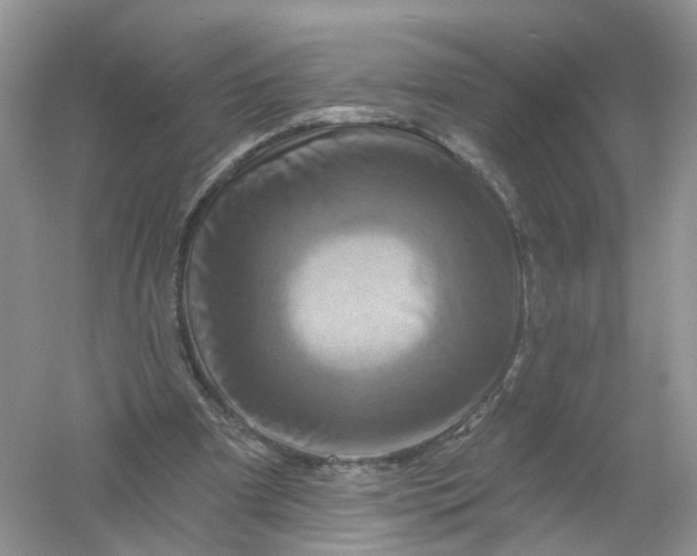 X0000061150297200512022322