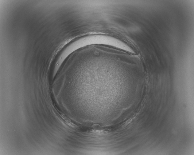 X0000061150298200512022322