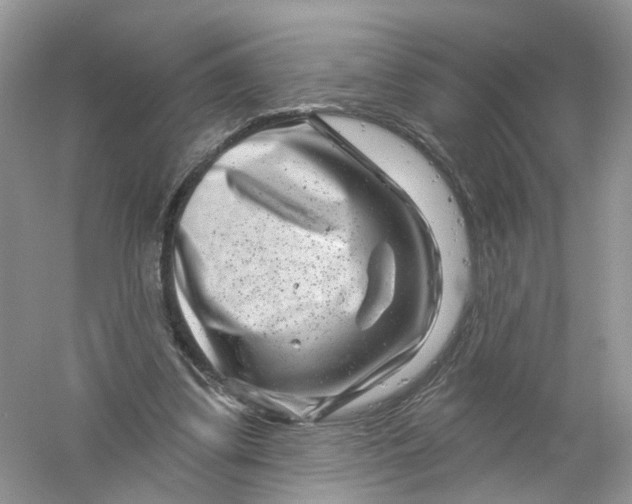 X0000061150299200512022322