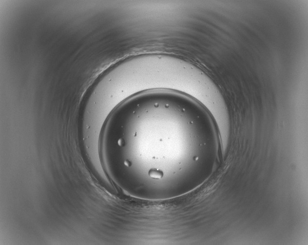 X0000061150301200512022322