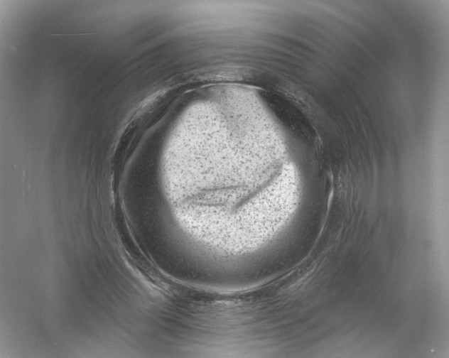 X0000061150302200512022322