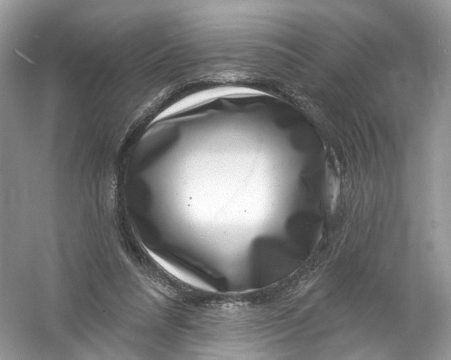 X0000061150304200512022321