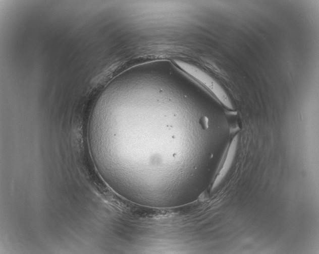 X0000061150306200512022321