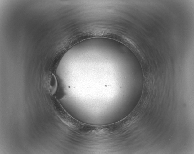 X0000061150307200512022321