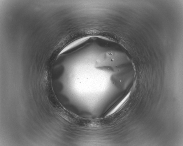 X0000061150308200512022321