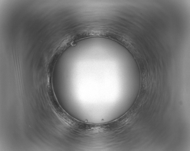 X0000061150310200512022321