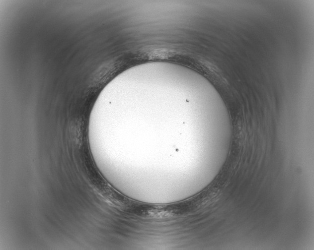 X0000061150311200512022321