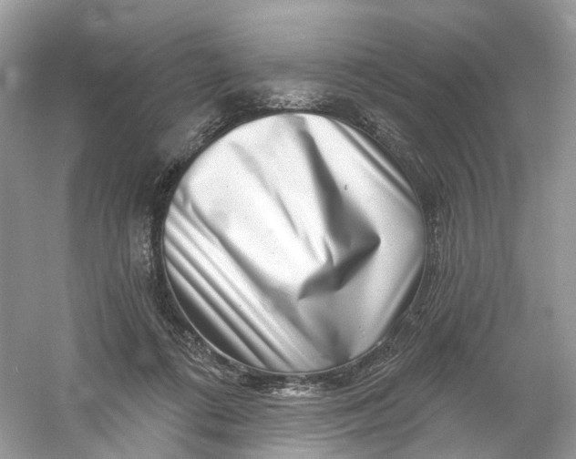 X0000061150312200512022321