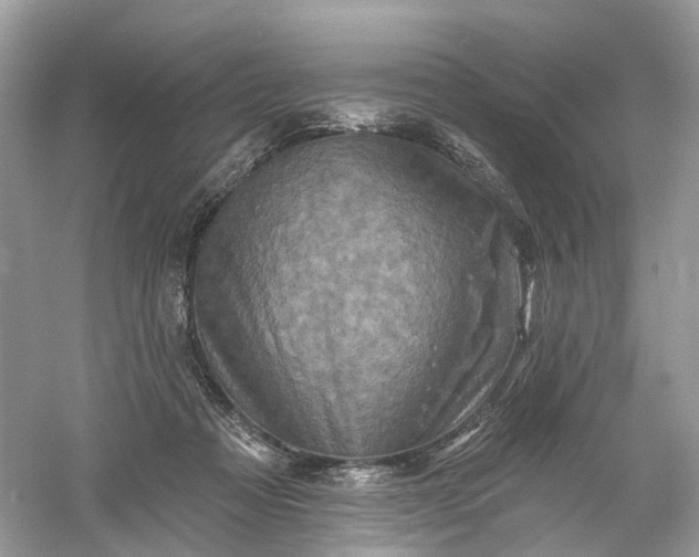 X0000061150313200512022321