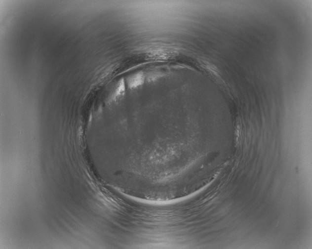 X0000061150314200512022321