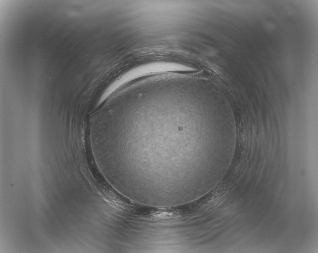 X0000061150315200512022321